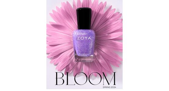 Bloom
